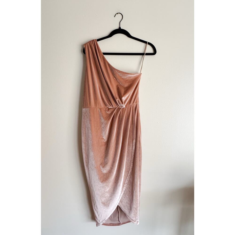 Baltic Born Pink Tan Desert Rose Kourtney Velvet One Shoulder Dress Large